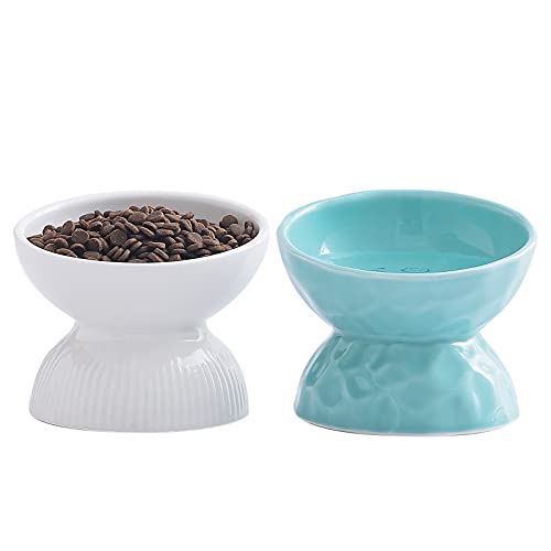 Cat Bowl,Raised Cat Food Bowls Anti Vomiting,Tilted Elevated Cat Bowl,Ceramic Pet Food Bowl for Flat-Faced Cats,Small Dogs,Protect Pets Spine,Dishwas