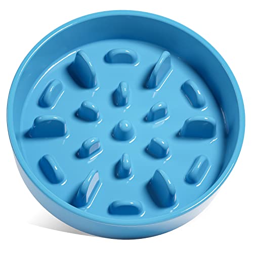 Pet Supplies : LE TAUCI PET Dog Slow Feeder Bowl Ceramic,3 Cups Puzzle Dog  Food Bowl for Small Medium Large Breed, Puppy Slow Feeder Bowl for Fast  Eater, Dog Bowls to Slow