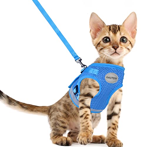 Gauterf hotsell cat harness