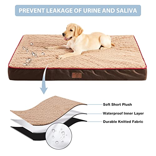 Large Orthopedic Dog Bed for Medium, Large and Extra Large Dogs, Egg-Crate  Foam Pet Bed Mat with Rose Plush Removable Cover, Waterproof Lining, and