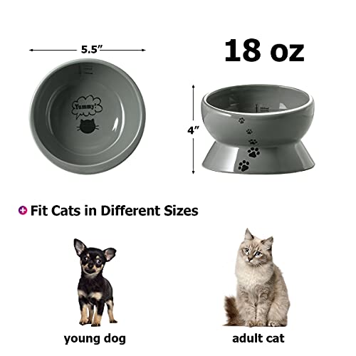 Y YHY Elevated Cat Food Bowl, Raised Pet Food and Water Bowl, Cat and Small Dog  Bowl, Tilted Ceramic Cat Water Bowl No Spill,15oz, Dishwasher Safe White