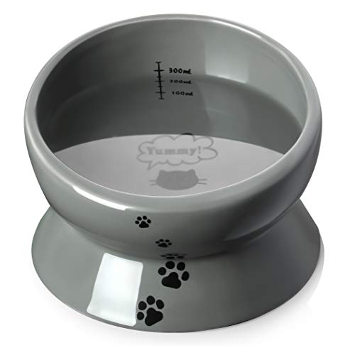 Y YHY Elevated Cat Food Bowl, Raised Pet Food and Water Bowl, Cat and Small Dog  Bowl, Tilted Ceramic Cat Water Bowl No Spill,15oz, Dishwasher Safe White