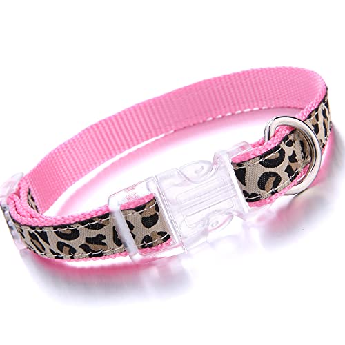 OUT OF STOCK!! COLLAR, HARNESS & LEASH PINK