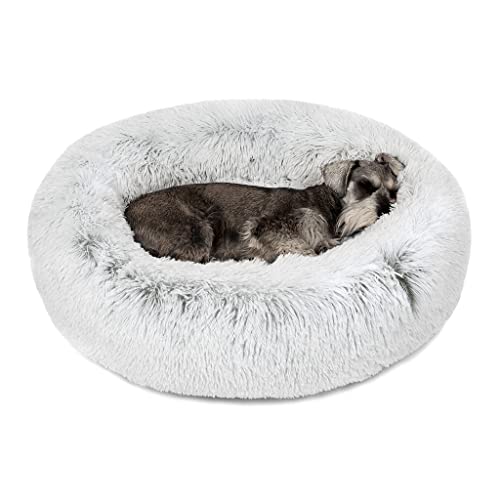 Friends forever 2024 dog bed medium