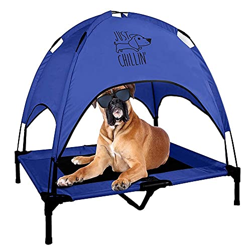 Outdoor dog outlet bed with umbrella