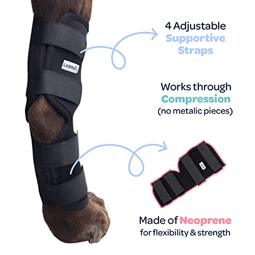 Labra Supportive Dog Canine Rear Leg Hock Joint Wrap Protects Wounds a –  PETOLY