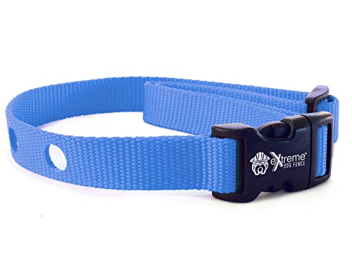 Underground Dog Fence Collars