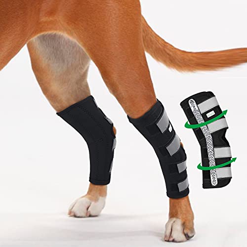 Dog sales ankle brace