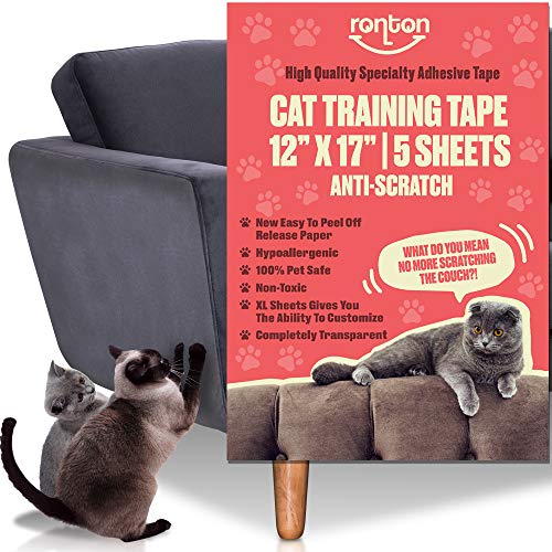 Cats and hotsell sticky tape