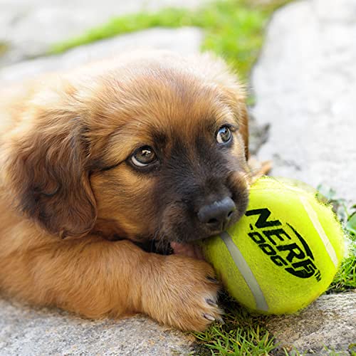 Nerf Elite 20 Blaster Dog Toy With 12 Tennis Balls