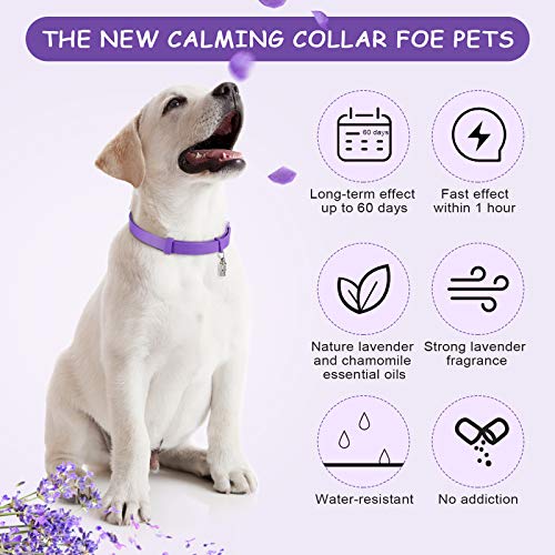 Nature best sale calm collar