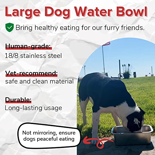 X large on sale dog bowls