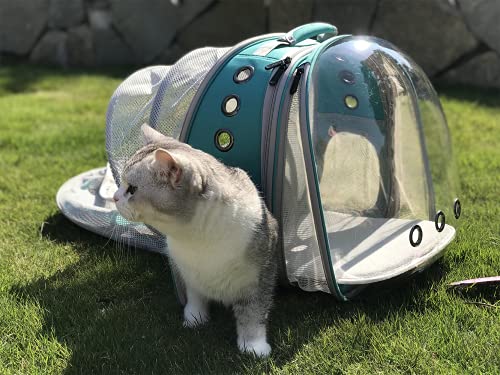 The Fat Cat Cat Backpack(For Larger Cats) - Bubble Pet Carrier Aqua