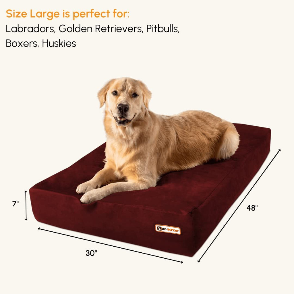 What Kind of Dog Bed Should I Buy?