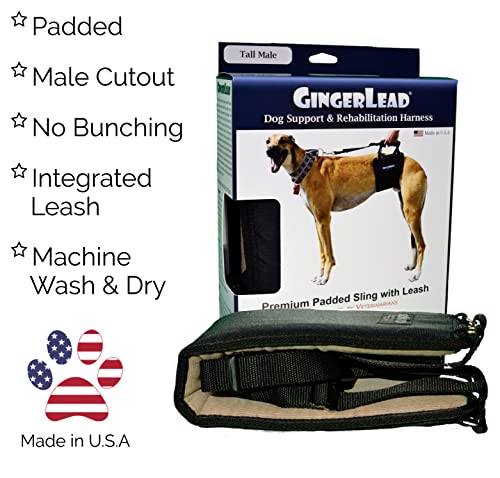 Ginger lead clearance harness