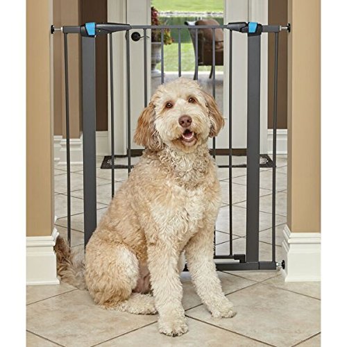 Midwest steel 2025 pet gate