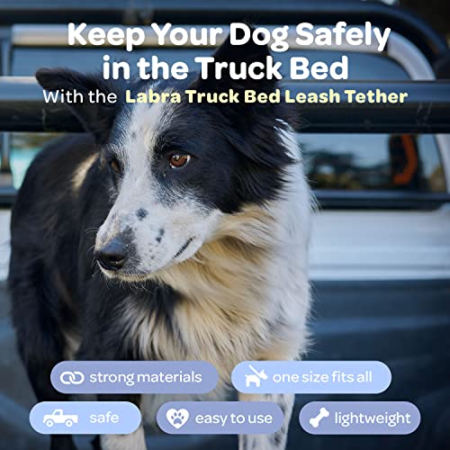 Dog hotsell truck tether