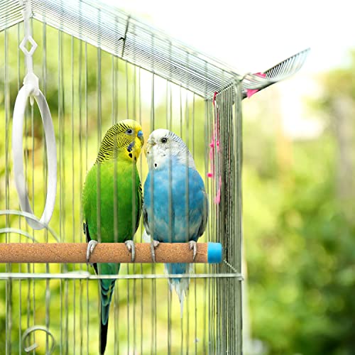 Perch covers outlet for birds