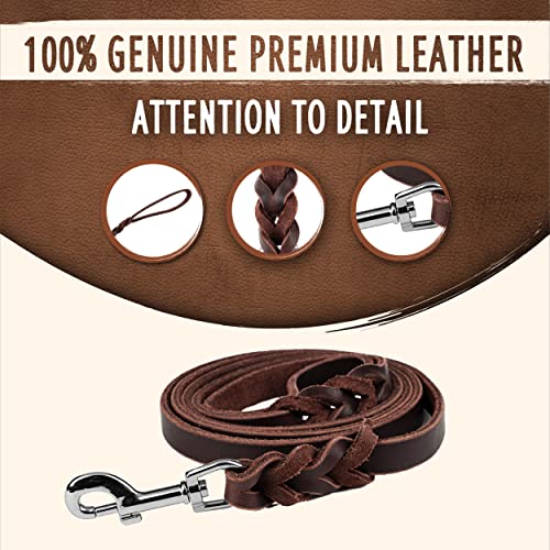 Leather Dog Leash 6 ft Leather Dog Training Leash Pet Braided Dog Leas –  PETOLY