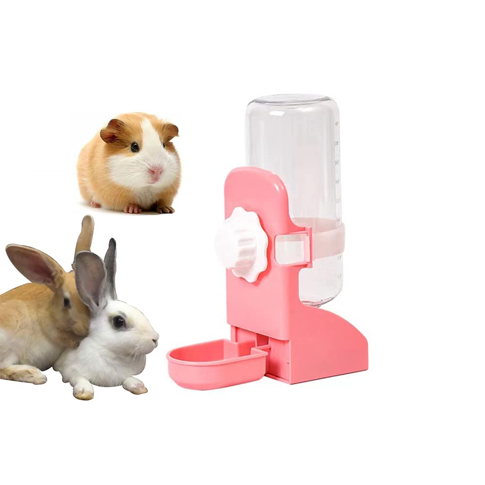 No leak rabbit outlet water bottle