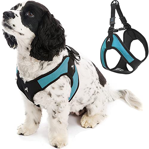 Padded step deals in dog harness