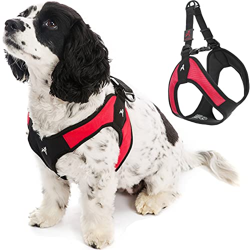 Padded step in outlet dog harness