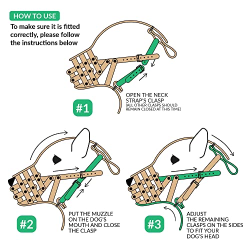 Muzzle for American Bulldog and English Bulldog – CollarDirect