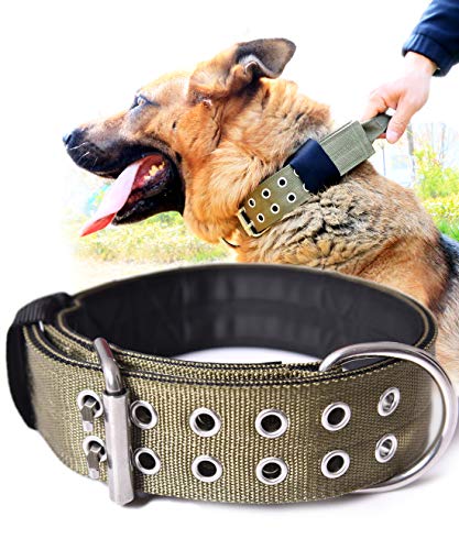 Extra large 2024 dog collar