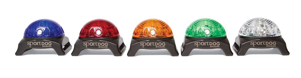 Sportdog light 2024