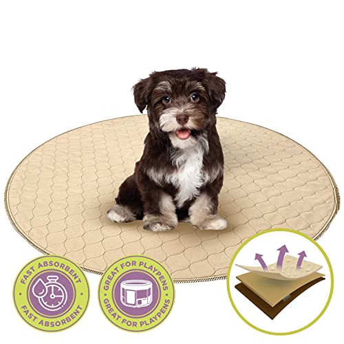 Reusable dog pee sales pad