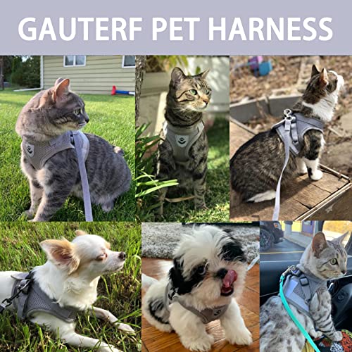 Gauterf cat outlet harness