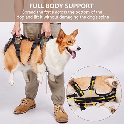 Coodeo dog cheap lift harness