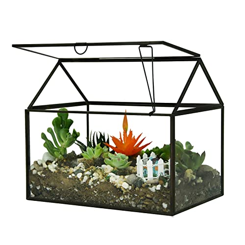 Large Glass Plant Terrarium – House Succulent Glass Terrarium Kit with Lip  Glass Greenhouse Terrarium for Plant (Black 1)