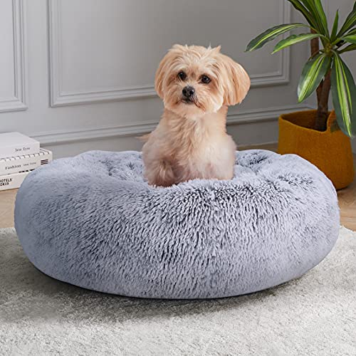 Extra small dog clearance bed