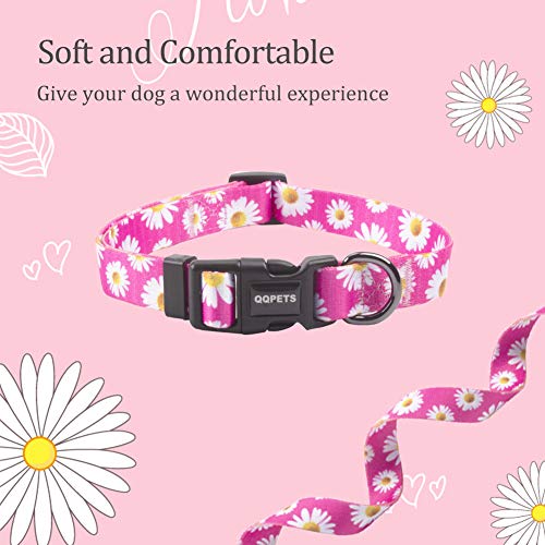 QQPETS Dog Collar Personalized Soft Comfortable Adjustable Collars for  Small Medium Large Dogs Outdoor Training Walking Running (M, Red) 