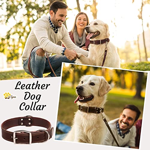 ADITYNA Padded Leather Dog Collar – Girl Dog Collars – Pink Dog Collars for  Extra-Large Female Dogs