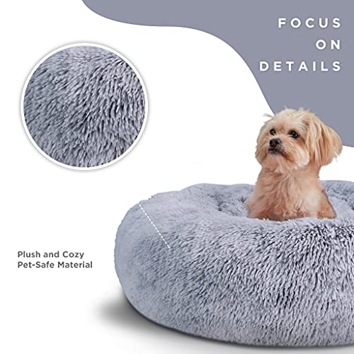 Extra small dog clearance bed