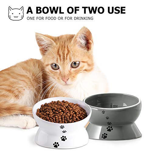 Cat Bowl,Raised Cat Food Bowls Anti Vomiting,Tilted Elevated Cat Bowl,Ceramic Pet Food Bowl for Flat-Faced Cats,Small Dogs,Protect Pets Spine,Dishwas