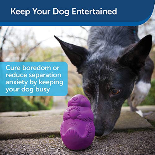 Squirrel buddy dog clearance toy