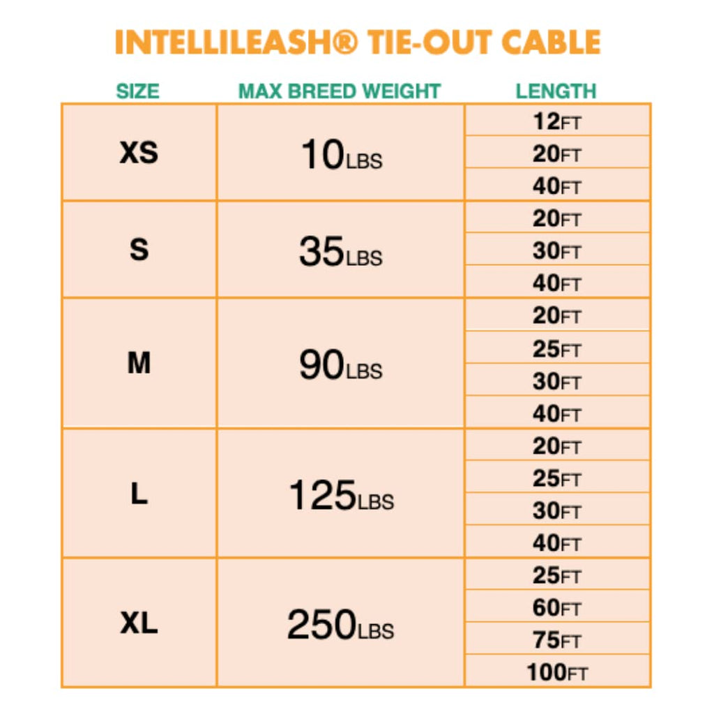 Intellileash 2024