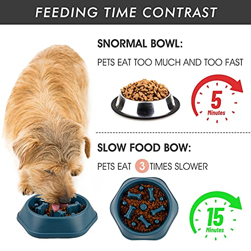 Slow Feeder Dog Bowl - Puzzle Bowl for Dog - Anti-Gulping