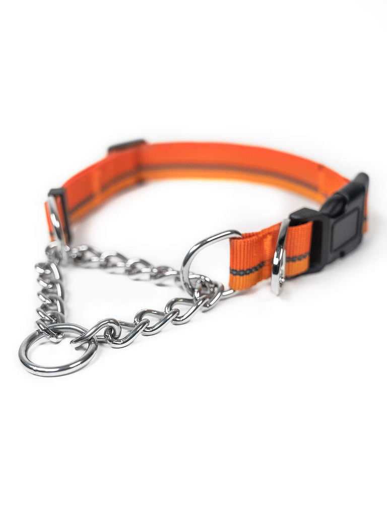 Mighty paw shop martingale collar