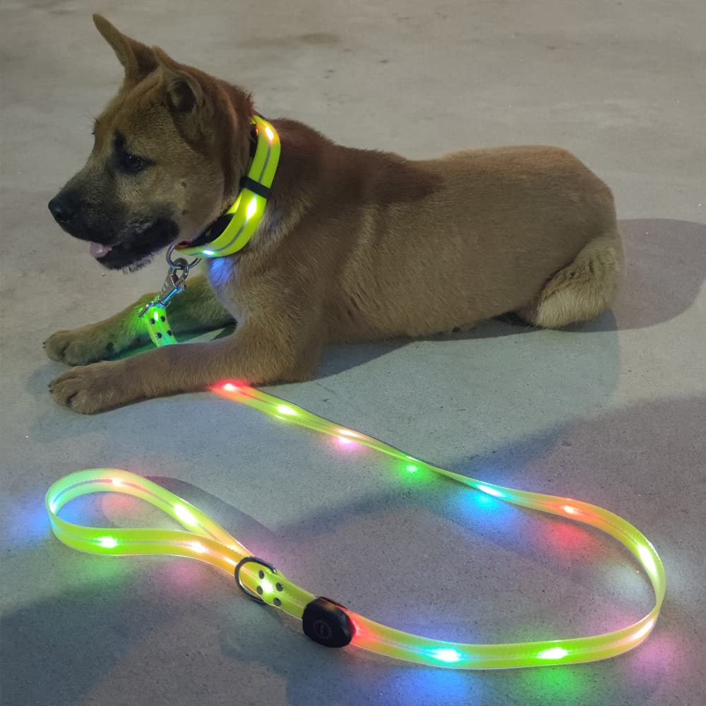 Best dog shop leash with light