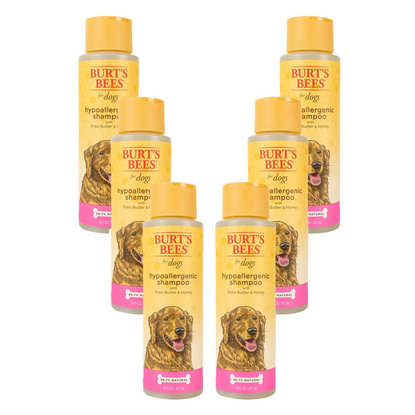 Burt's bees best sale hypoallergenic dog shampoo