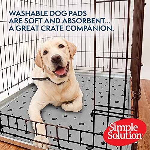 Large washable puppy discount pads