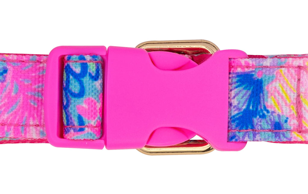 Lilly pulitzer dog sales collar