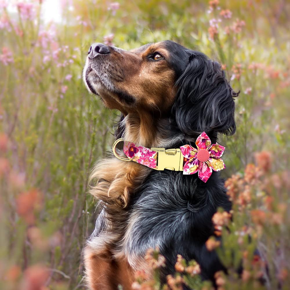 Girl Dog Collar with Flower, Adjustable Cute Dog Collar, Soft & Durable  Floral Dog Collar for Small Medium Large Dogs, Sturdy Dog Collar with  Safety Metal Buckle, Fit Necks 11.5-24.5'' DALUZ 