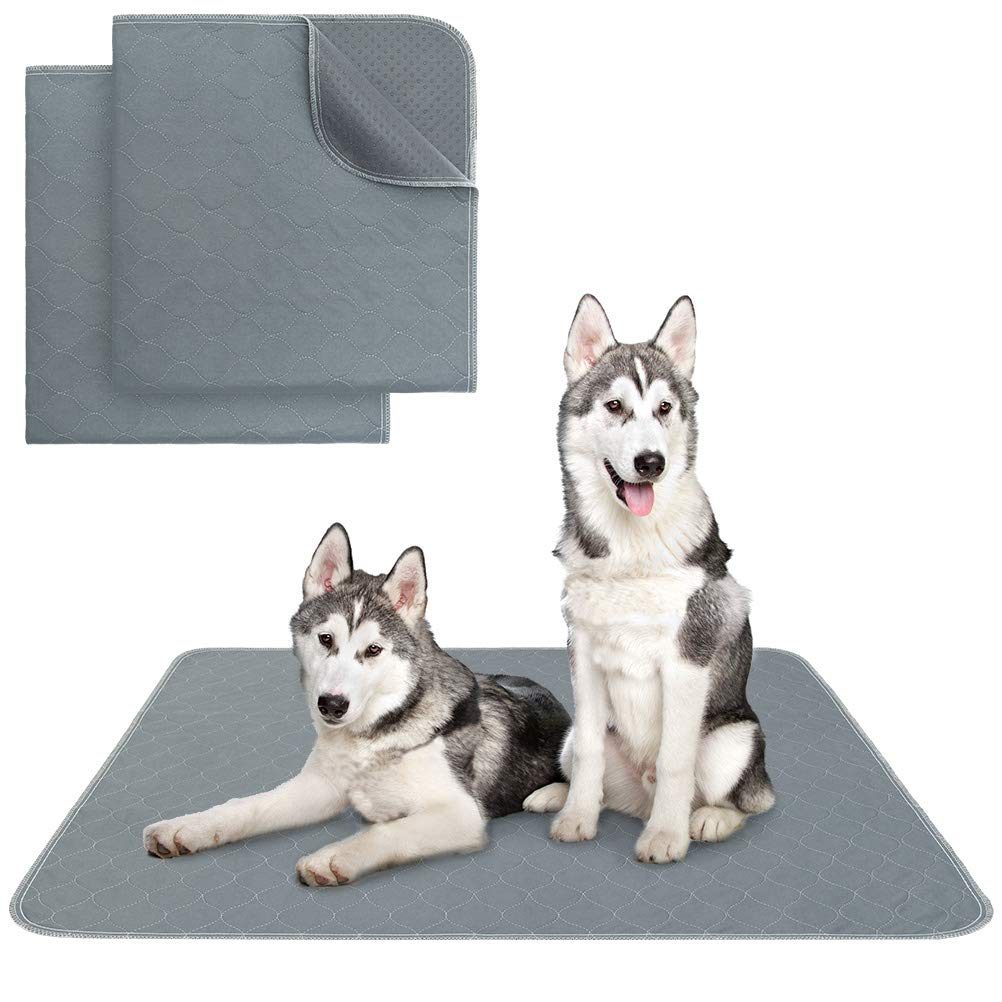 Kooltail washable hot sale pee pads