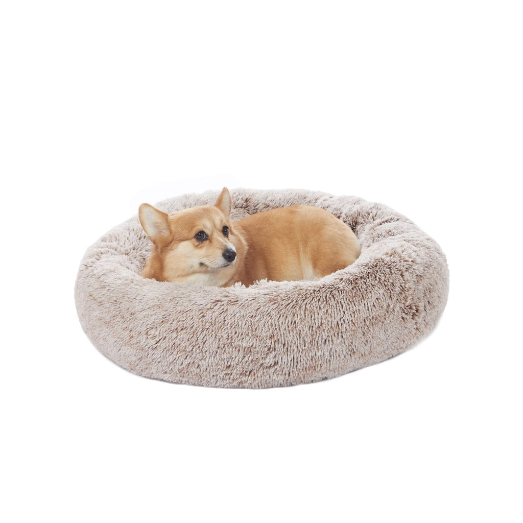 Fluffy dog shop bed