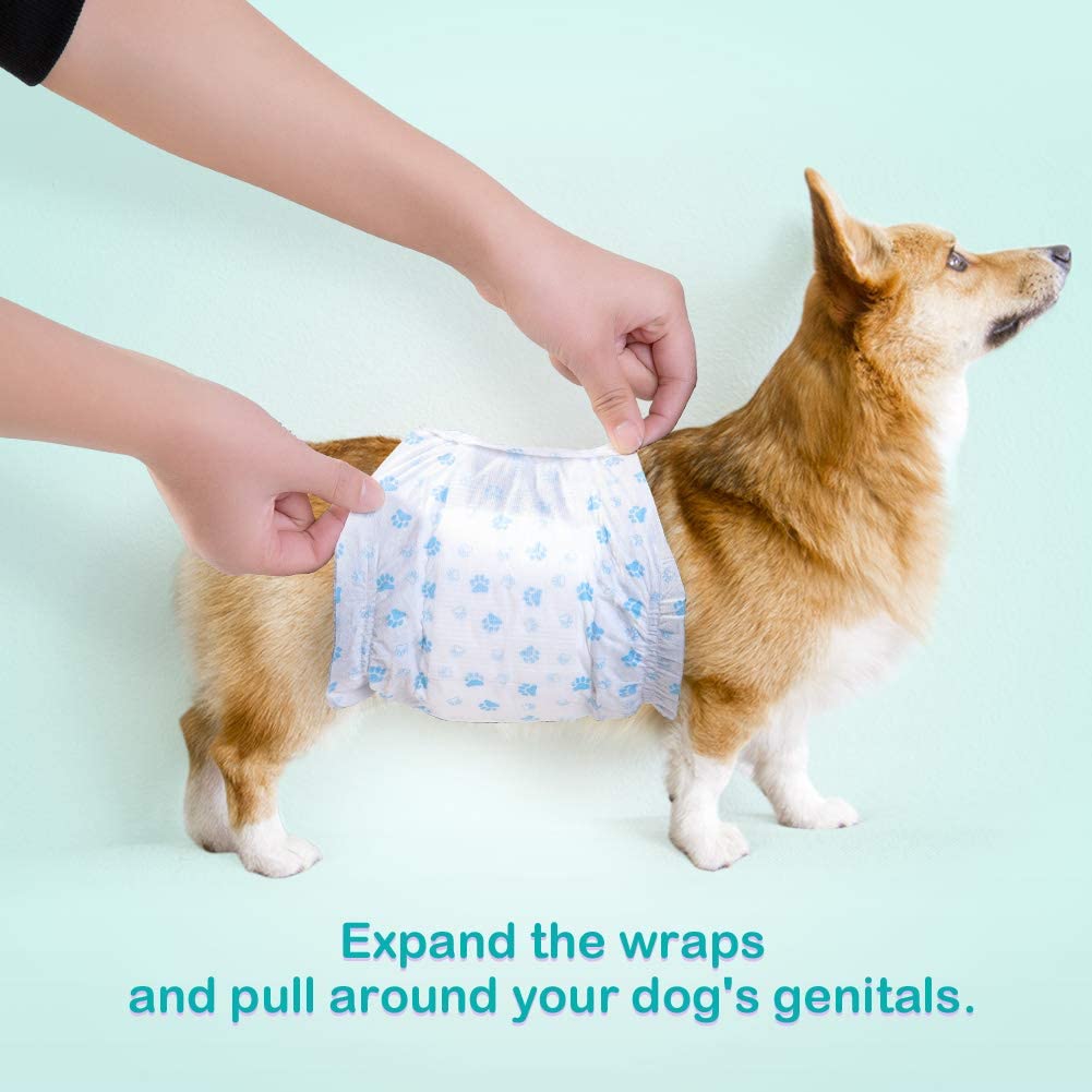 Male wrap dog outlet diapers